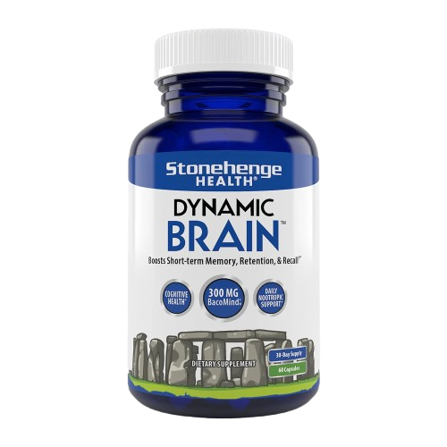 memory-supplement-dynamic-brain