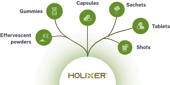 Formulations possible with Holixer