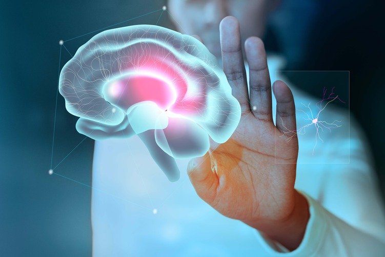 visual-representation-of-brain-health-and-cognitive-function