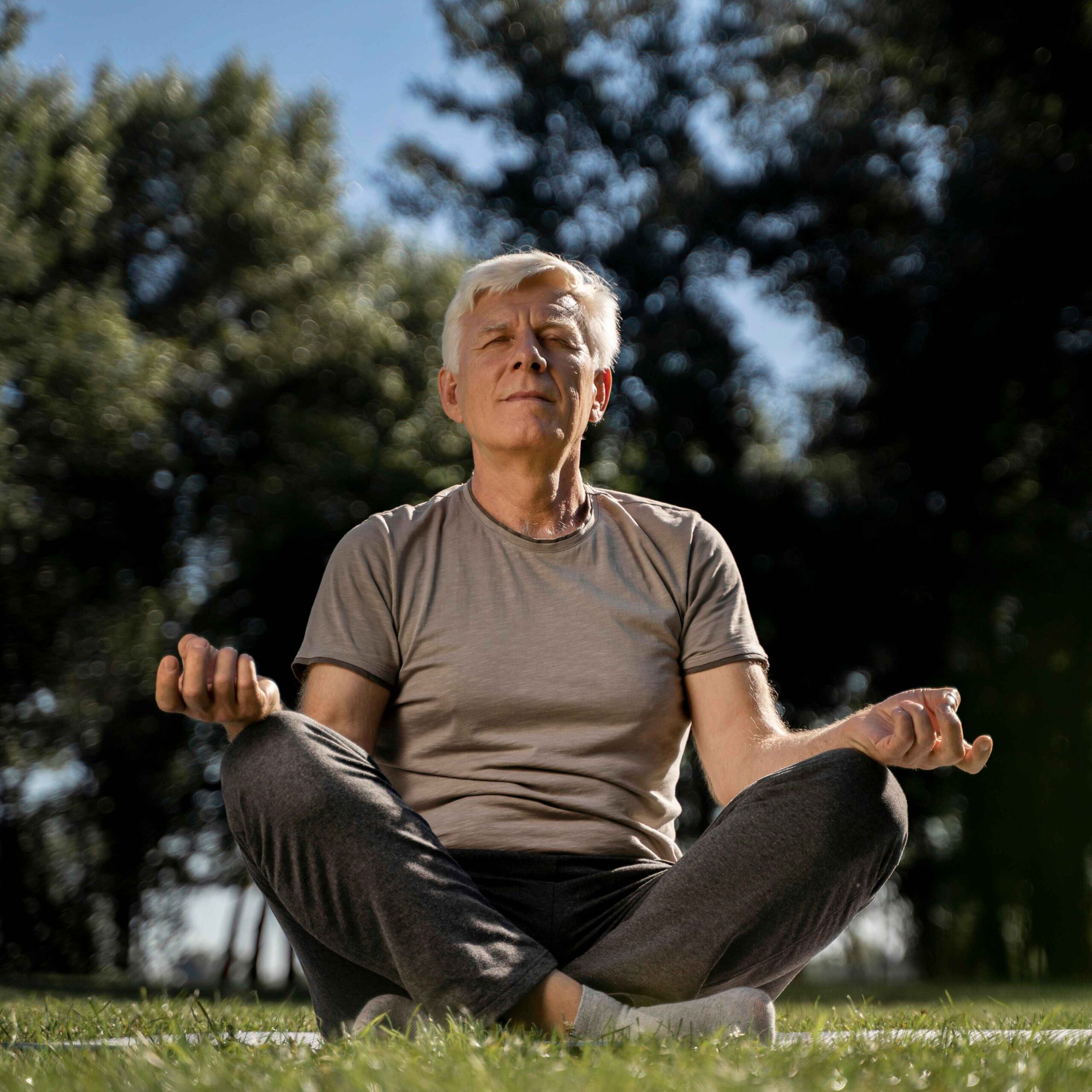 holy-basil-extract-reduces-stress