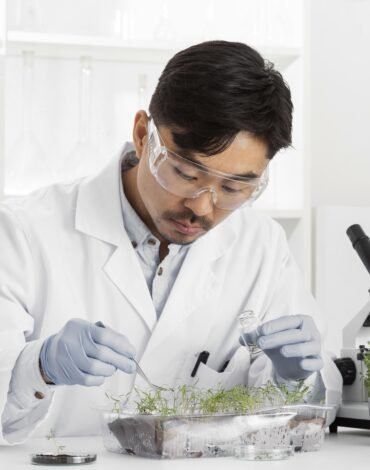 clinical-research-holy basil-extract