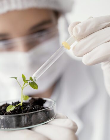 holixer-ayurveda:-bridging-traditional-herbal-wisdom-with-modern-technology