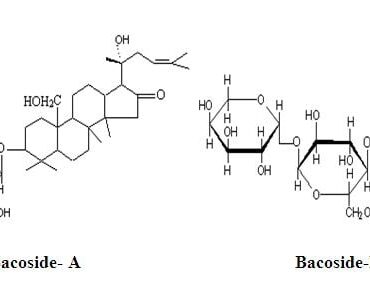 bacopa monnieri extract